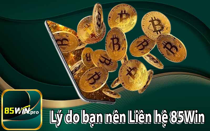 Lý do bạn nên Liên hệ 85Win