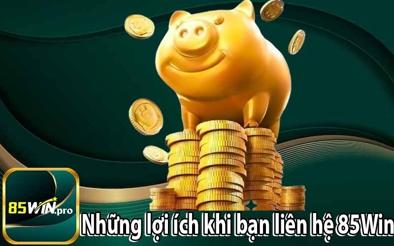 Những lợi ích khi bạn liên hệ 85Win